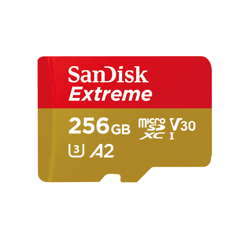 SanDisk サンディスク エクストリーム microSDXC UHS-Iカード 256GB ...
