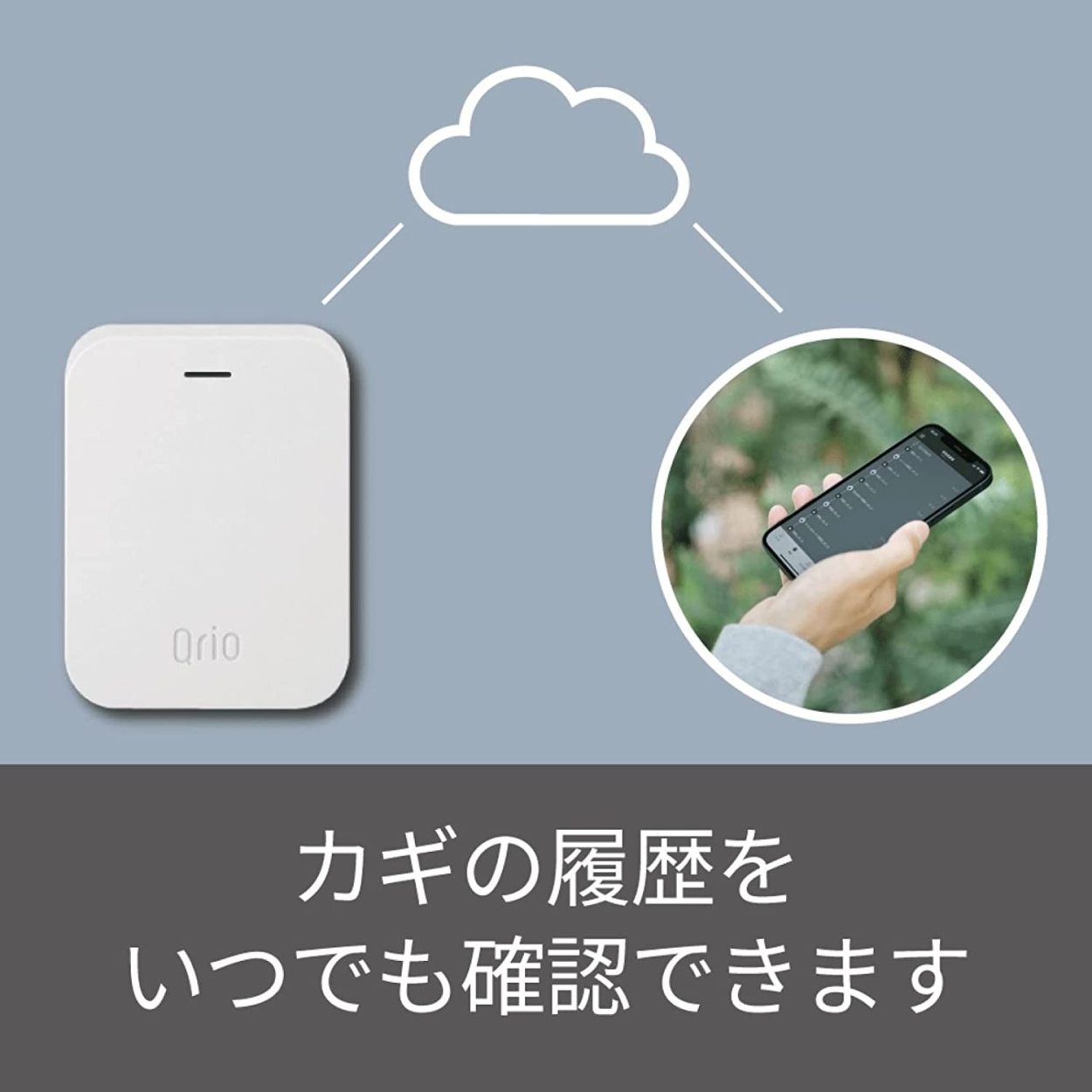 Qrio Hub Q-H1 2個セット