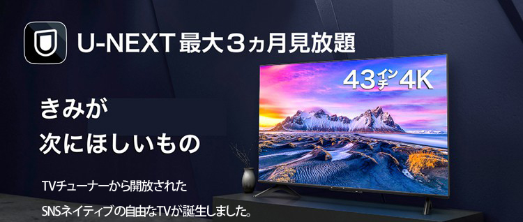 SmaTY 43型 4K Android搭載チューナーレスSmartTV | スマート家電／IoTを進めるならトレテク公式通販サイト