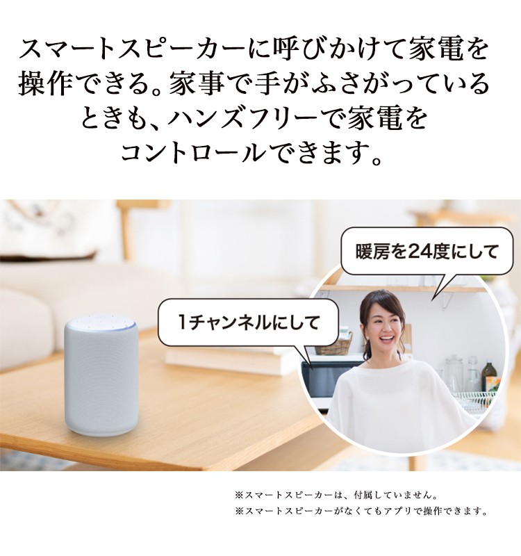 格安SALEスタート】 Amazon Home RATOC 赤外線 Googleアシスタント Echo RS-WFIREX4 Google Alexa  対応 Systems