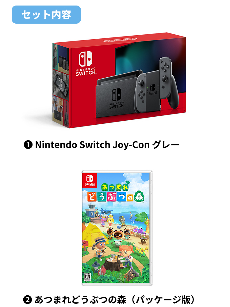 Nintendo Switch Joy-Con グレー&あつまれ どうぶつの森 Nintendo 