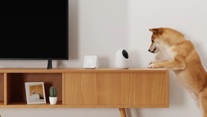 うちの子どうしてる？ペットも家族も安心できる見守りカメラ生活