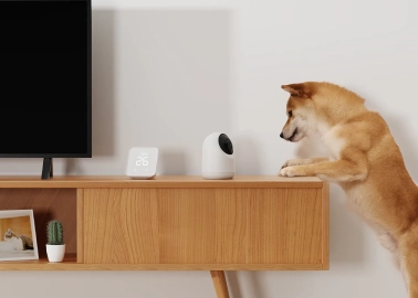 うちの子どうしてる？ペットも家族も安心できる見守りカメラ生活